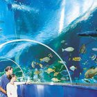 Blue Reef Aquarium