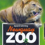 Newquay Zoo