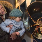 The National Lobster Hatchery