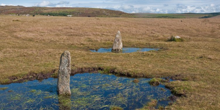 Bodmin Moor