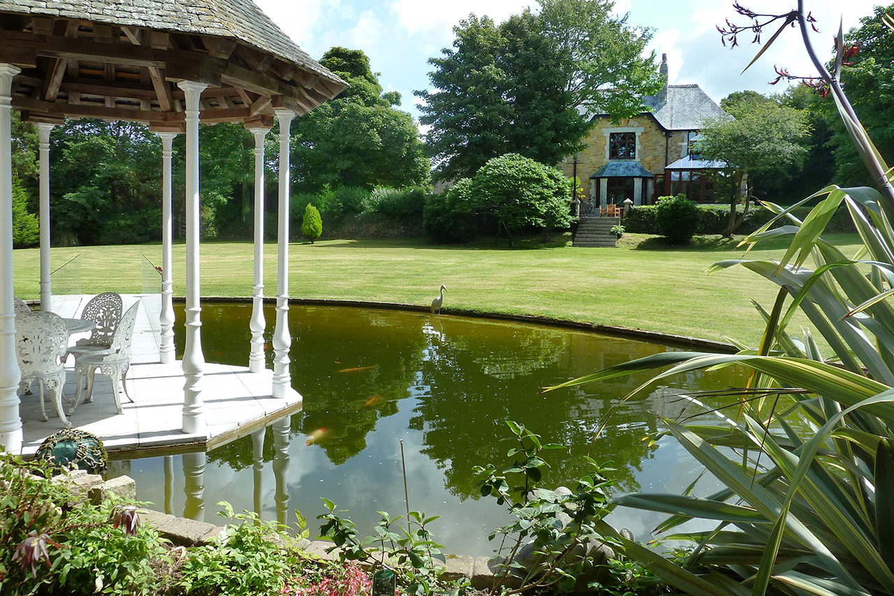 Garden from Koi pool