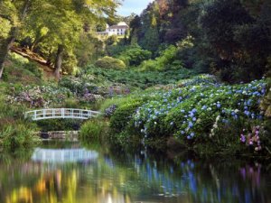 Trebah Garden