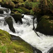 Golitha Falls