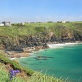 Camellia Holiday Cottage in Lizard, Cornwall