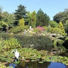 The Homestead Woodland Garden