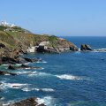 Lizard Point