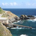 Lizard Point