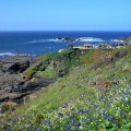The Lizard Point