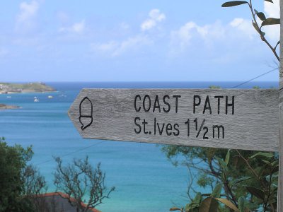 The Wildlife Wonders of Cornwall in Summer