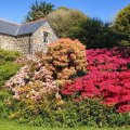 Trewhella Cottage Gardens Trewhella Cottage Gardens