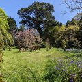 Trewhella Cottage, Holiday Cottage, Lizard Peninsula, Cornwall