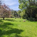 Trewhella Cottage, Holiday Cottage, Lizard Peninsula, Cornwall
