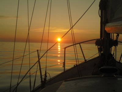 Lizard Sailing Trips
